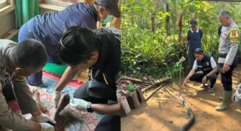 Heboh! Dugaan Panji Petualang Penyebab Ocang Duel Maut Lawan King Cobra Terungkap!